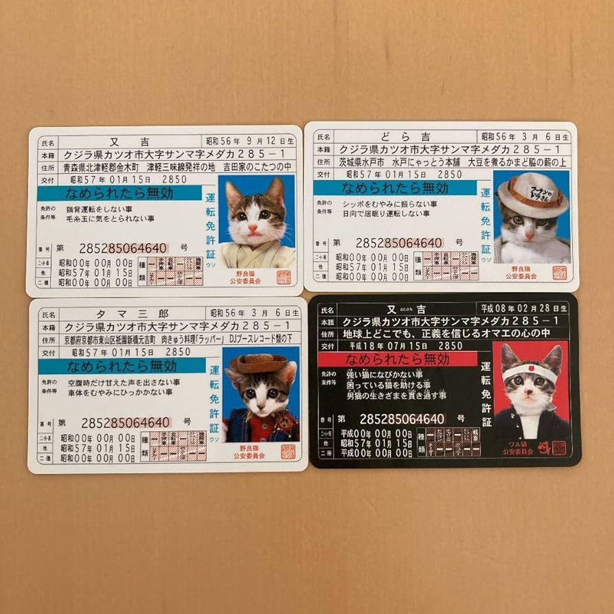 Amazon.co.jp: なめ猫 免許証 カード : おもちゃ